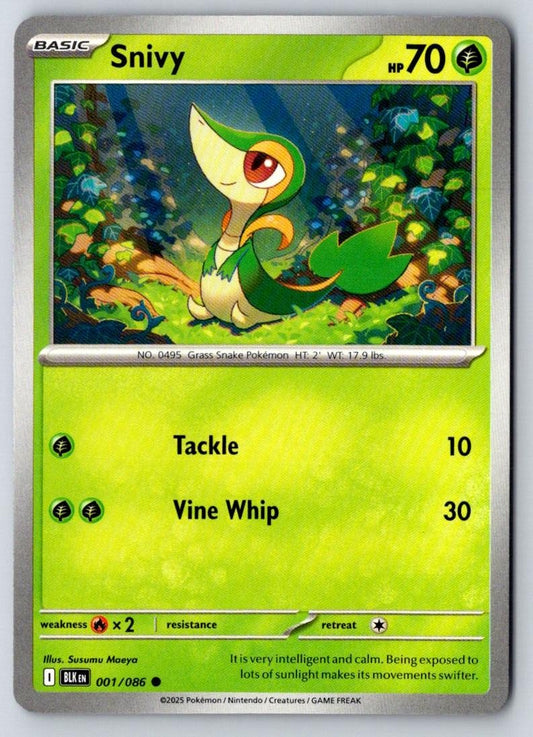 Snivy 001/086 Common Black Bolt Pokemon Near Mint