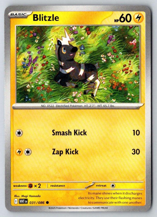 Blitzle 031/086 Common White Flare Pokemon Near Mint