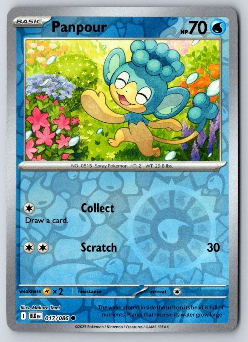 Panpour 017/086 Common Black Bolt Pokemon Near Mint