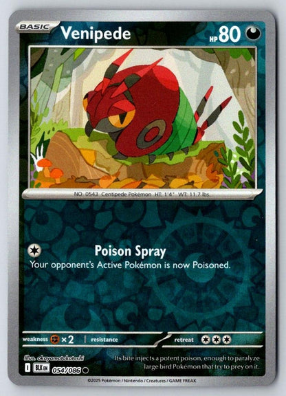 Venipede 054/086 Common Black Bolt Pokemon Near Mint