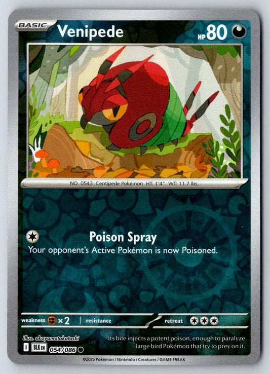 Venipede 054/086 Common Black Bolt Pokemon Near Mint