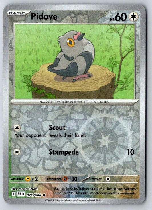 Pidove 071/086 Common Black Bolt Pokemon Near Mint