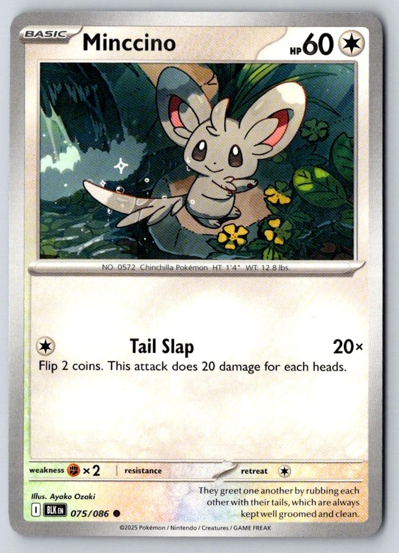 Minccino 075/086 Common Black Bolt Pokemon Near Mint