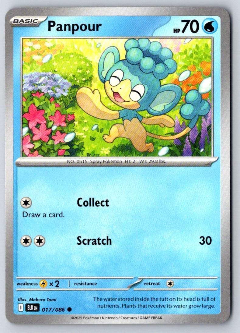 Panpour 017/086 Common Black Bolt Pokemon Near Mint