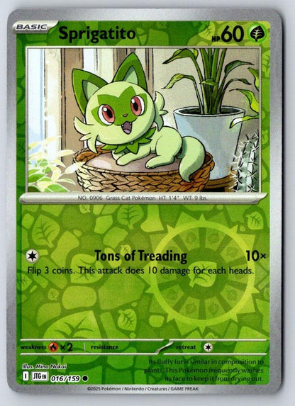 Sprigatito 016/159 Common Journey Together Pokemon Near Mint