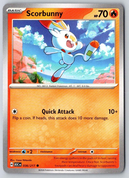 Scorbunny 036/217 Common Ascended Heroes Pokemon Near Mint