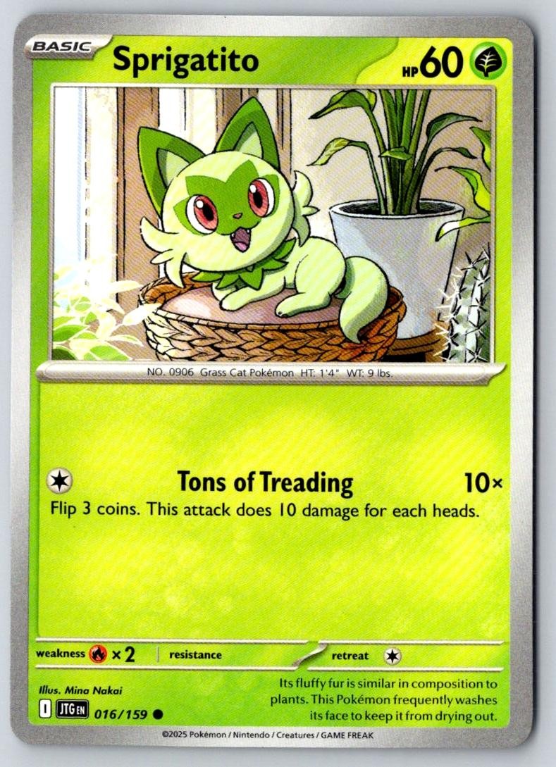 Sprigatito 016/159 Common Journey Together Pokemon Near Mint