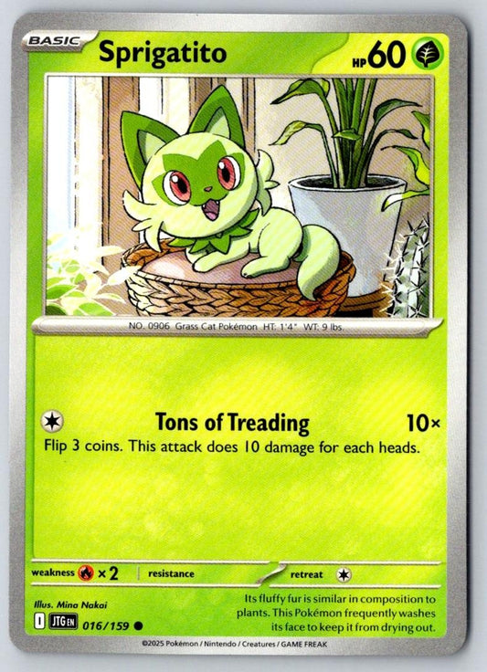 Sprigatito 016/159 Common Journey Together Pokemon Near Mint