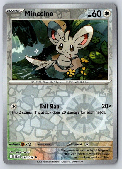 Minccino 075/086 Common Black Bolt Pokemon Near Mint