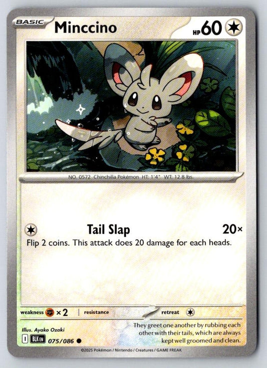 Minccino 075/086 Common Black Bolt Pokemon Near Mint