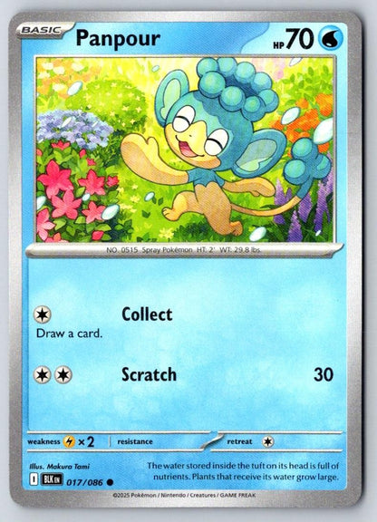 Panpour 017/086 Common Black Bolt Pokemon Near Mint