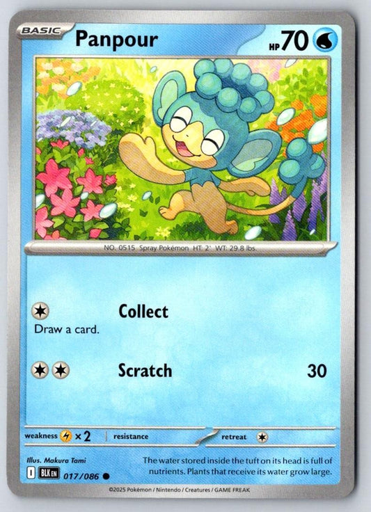 Panpour 017/086 Common Black Bolt Pokemon Near Mint