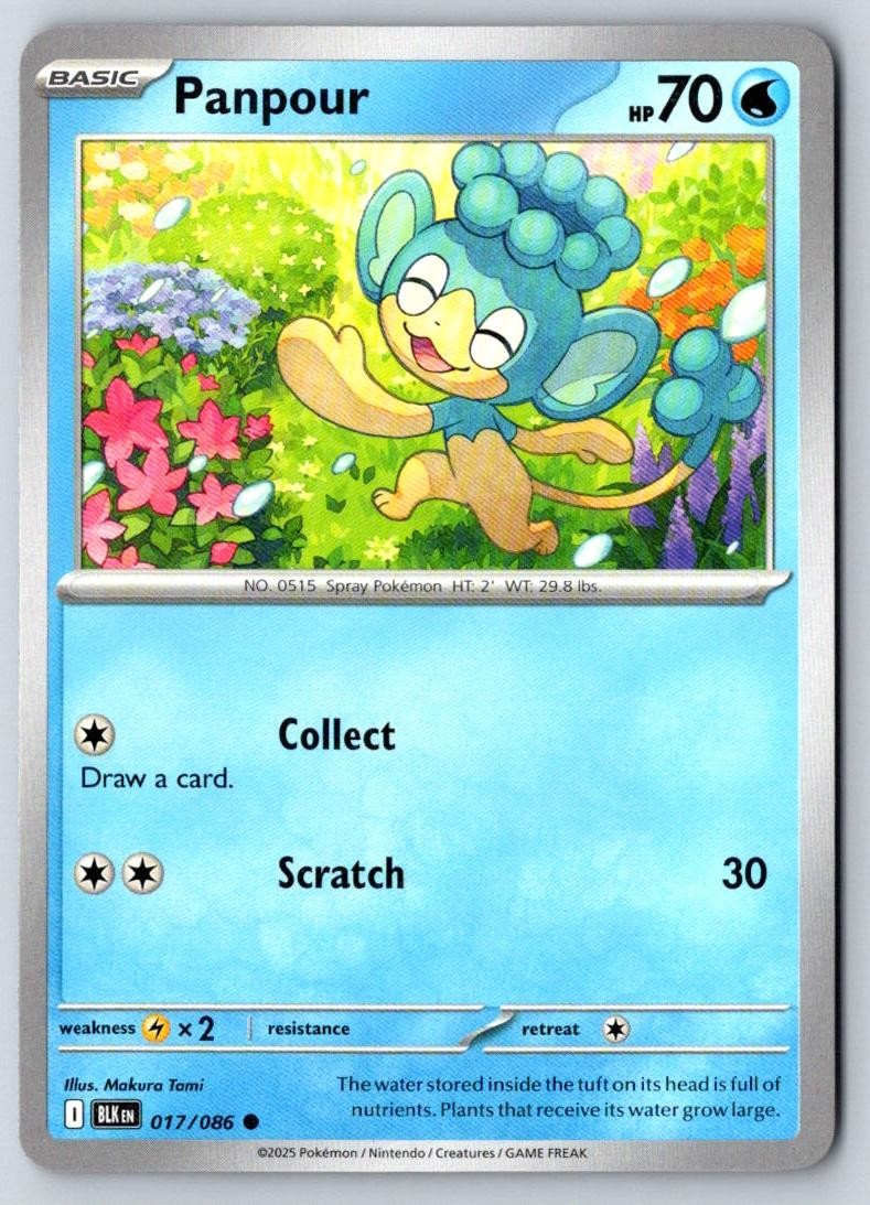 Panpour 017/086 Common Black Bolt Pokemon Near Mint
