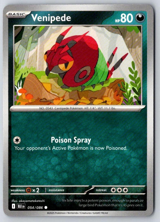 Venipede 054/086 Common Black Bolt Pokemon Near Mint
