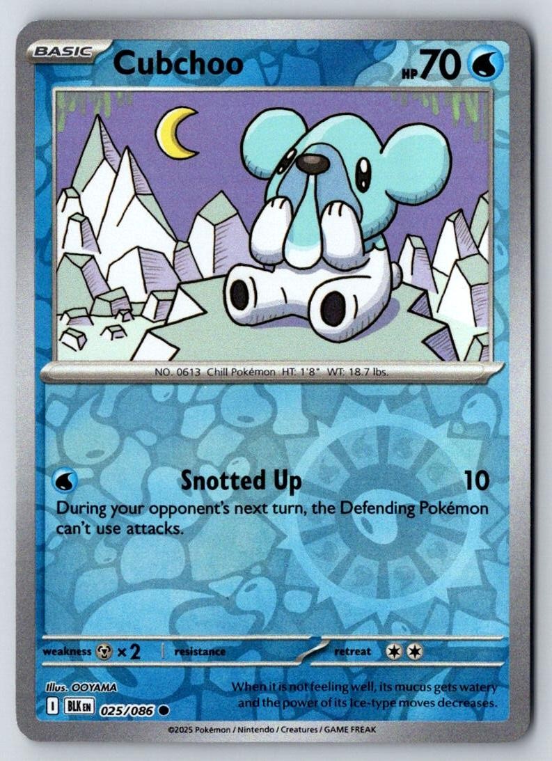 Cubchoo 025/086 Common Black Bolt Pokemon Reverse Holo Near Mint
