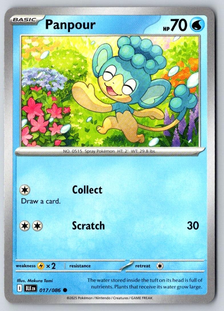 Panpour 017/086 Common Black Bolt Pokemon Near Mint