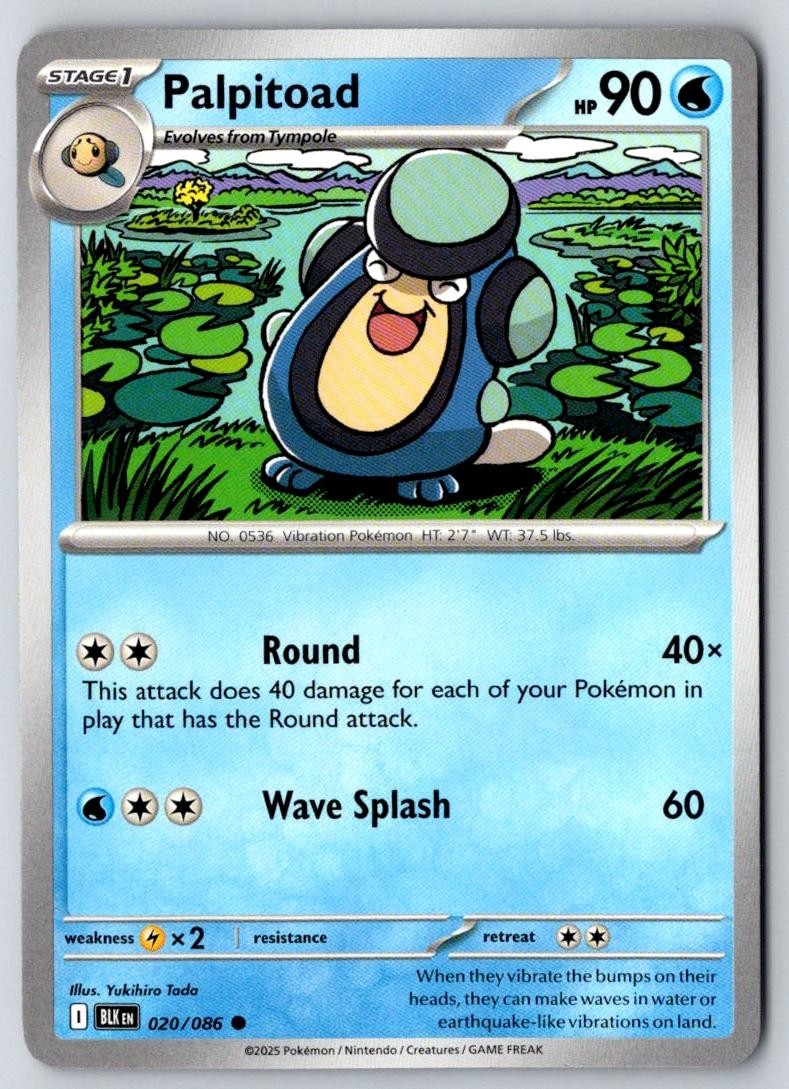Palpitoad 020/086 Common Black Bolt Pokemon Near Mint