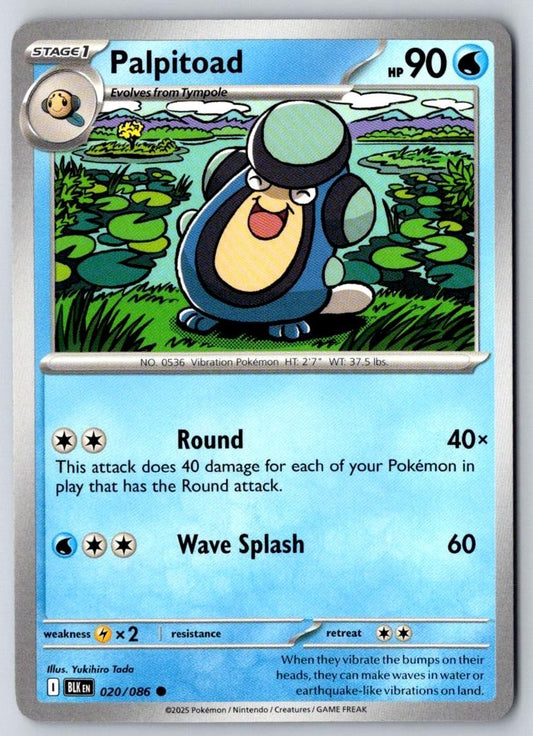 Palpitoad 020/086 Common Black Bolt Pokemon Near Mint