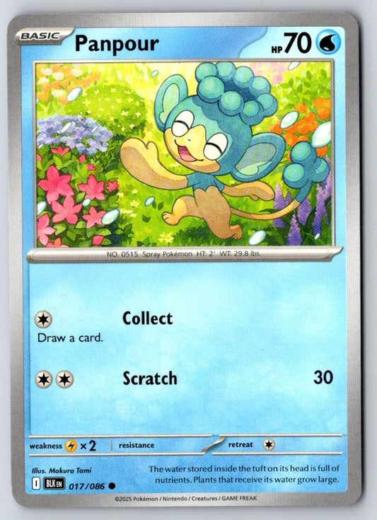 Panpour 017/086 Common Black Bolt Pokemon Near Mint