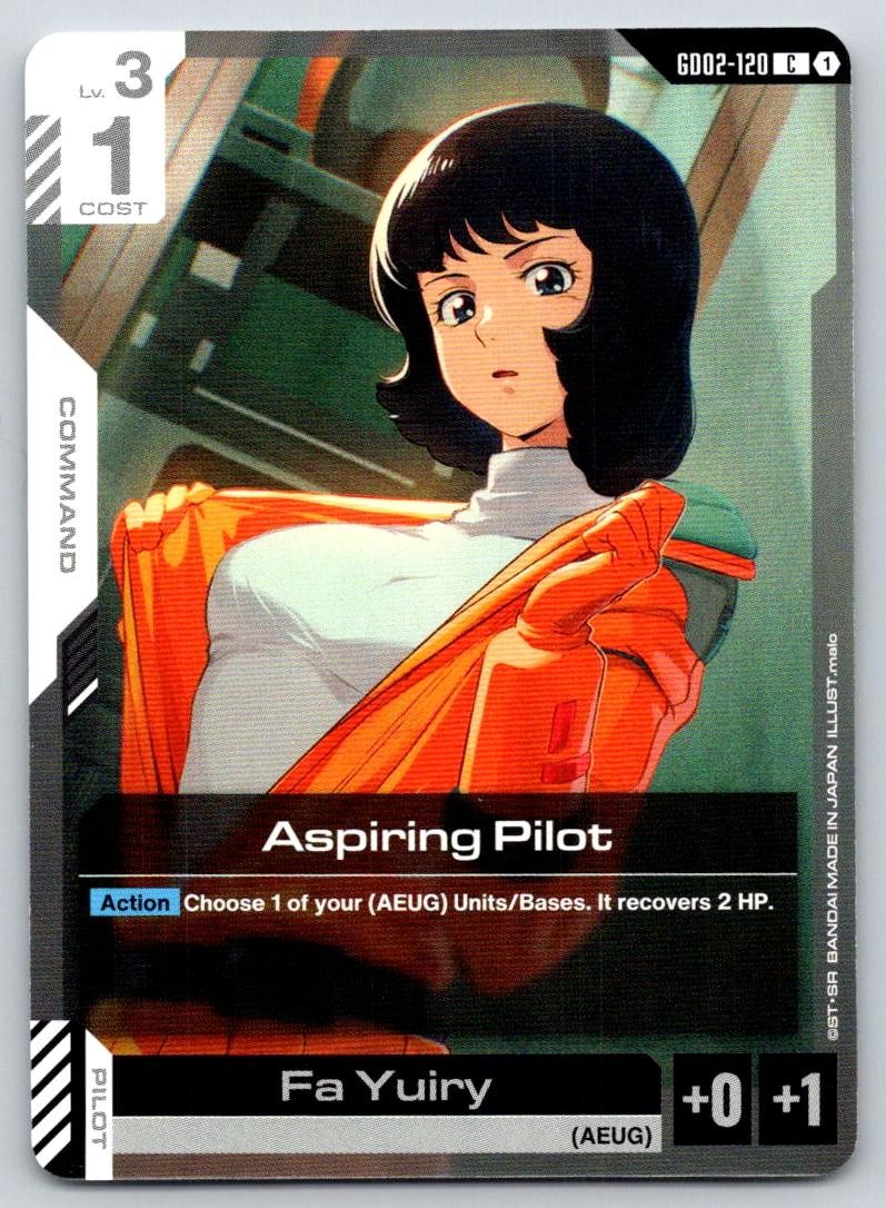 Aspiring Pilot GD02-120 C Dual Impact Gundam Near Mint