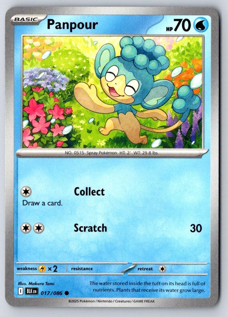 Panpour 017/086 Common Black Bolt Pokemon Near Mint