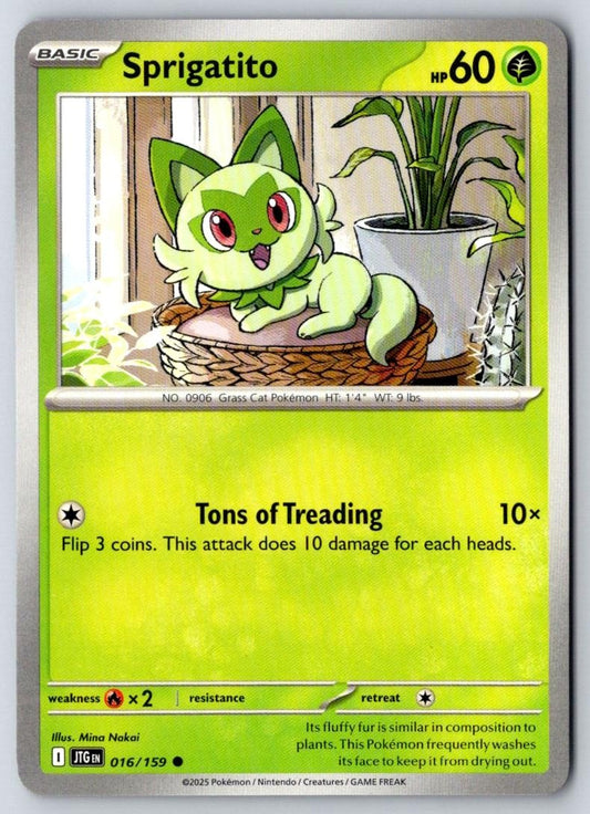 Sprigatito 016/159 Common Journey Together Pokemon Near Mint