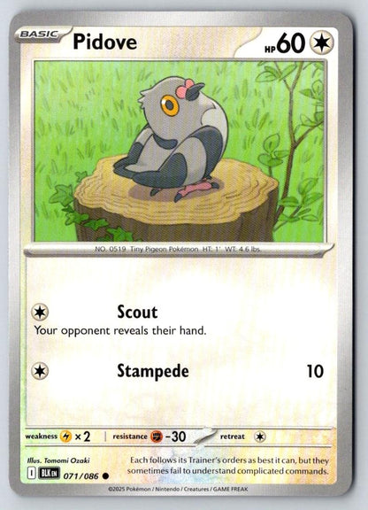 Pidove 071/086 Common Black Bolt Pokemon Near Mint