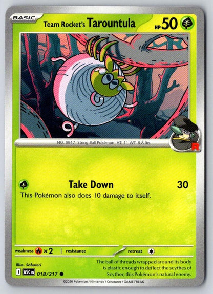 Team Rocket's Tarountula 018/217 Common Ascended Heroes Pokemon Near Mint