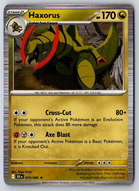 Haxorus 070/086 Holo Rare Black Bolt Pokemon Near Mint