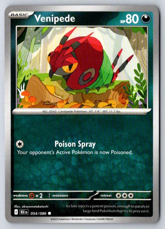 Venipede 054/086 Common Black Bolt Pokemon Near Mint