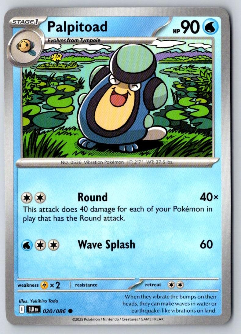 Palpitoad 020/086 Common Black Bolt Pokemon Near Mint
