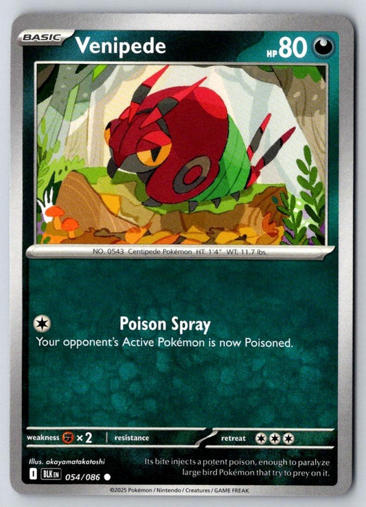 Venipede 054/086 Common Black Bolt Pokemon Near Mint
