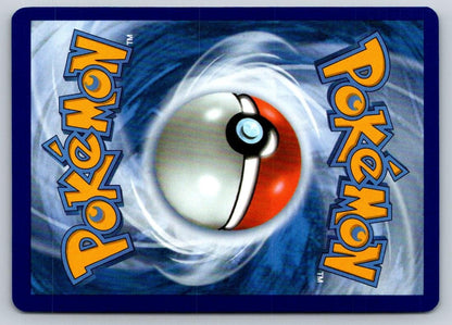 Great Haul Net 078/086 Uncommon Chaos Rising Pokemon Near Mint