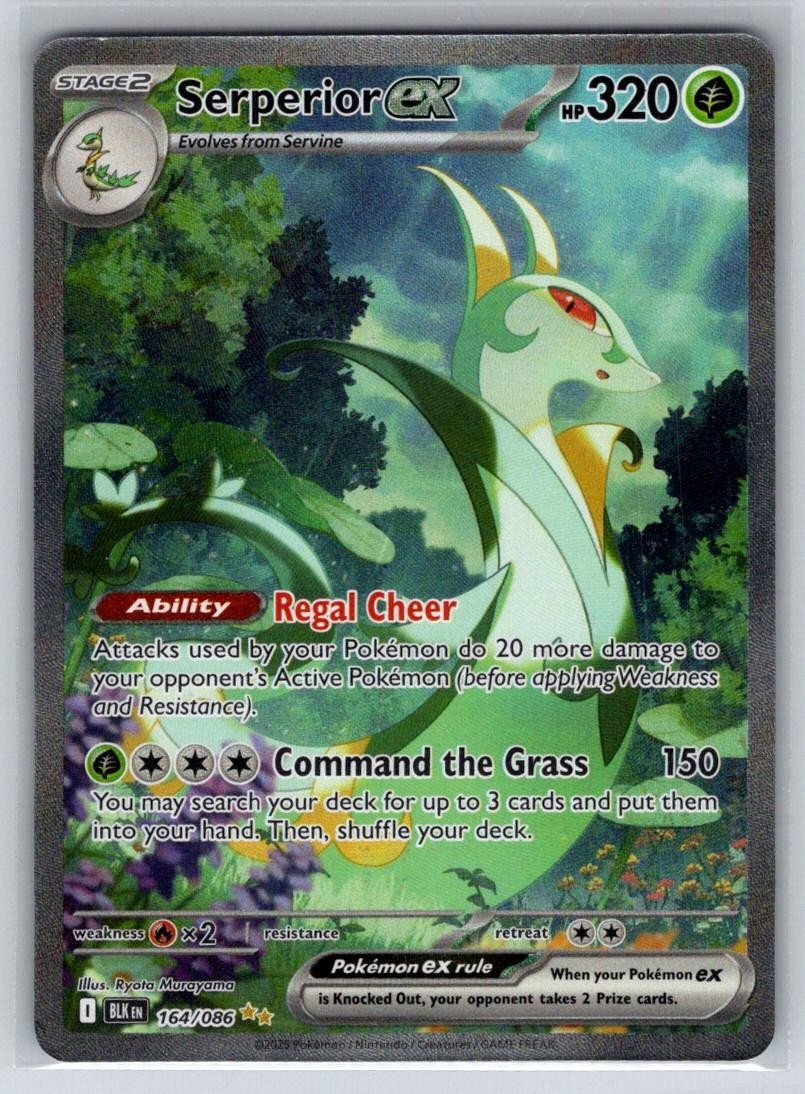 Serperior ex 164/086 Holo Special Illustration Rare Black Bolt Pokemon