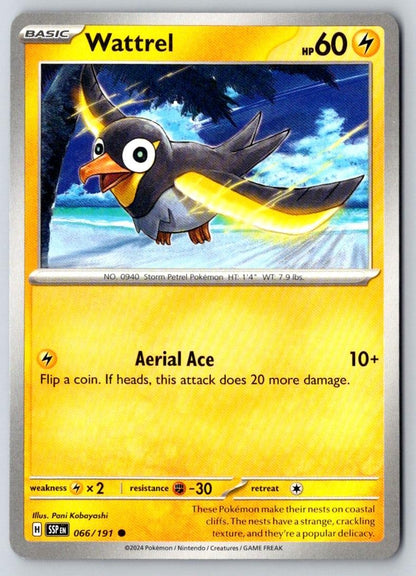 Wattrel 066/191 Common Surging Sparks Pokemon Near Mint