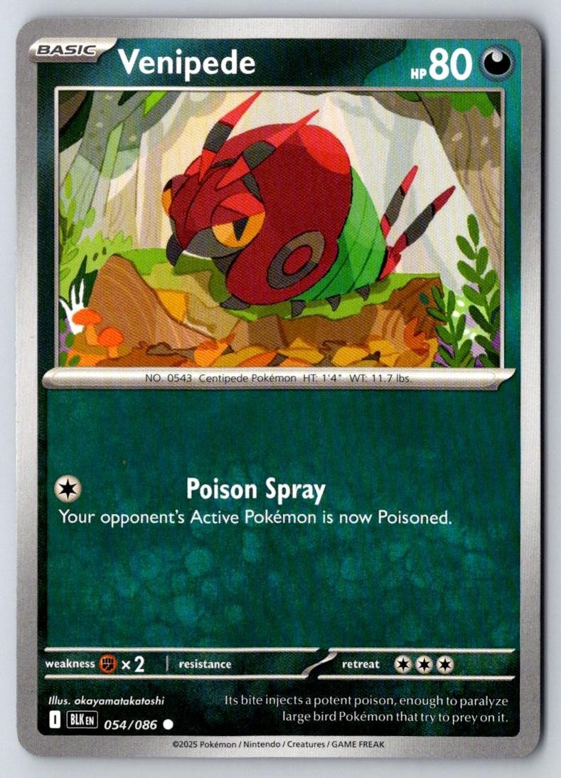 Venipede 054/086 Common Black Bolt Pokemon Near Mint