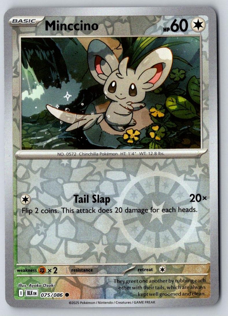 Minccino 075/086 Common Black Bolt Pokemon Near Mint