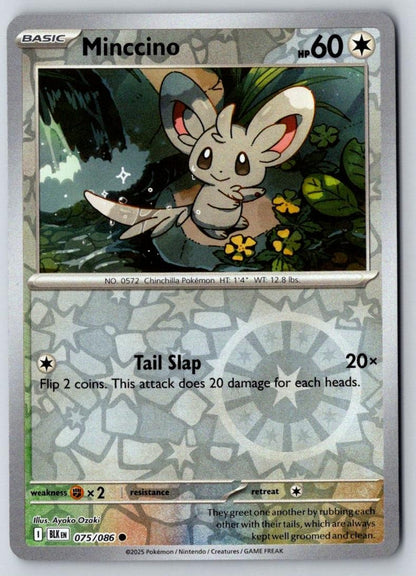 Minccino 075/086 Common Black Bolt Pokemon Near Mint