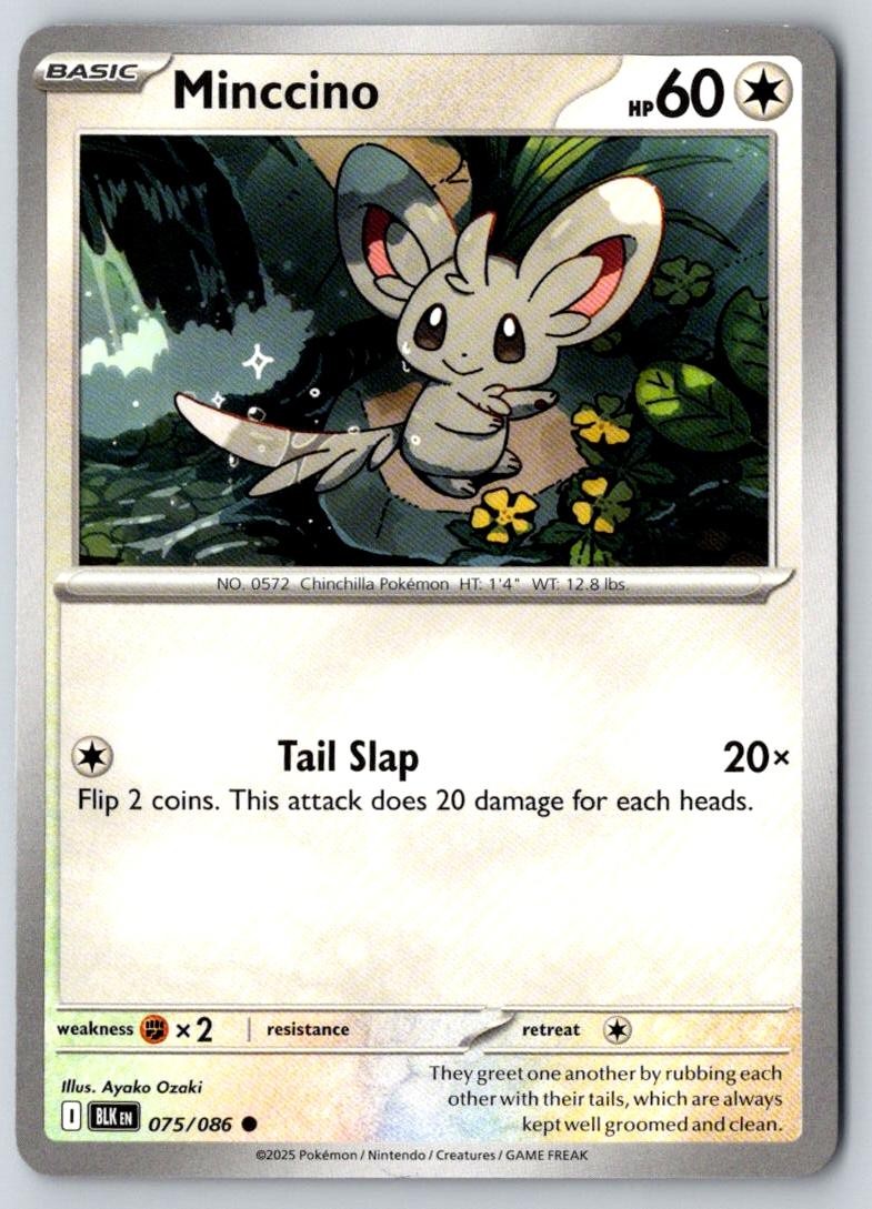 Minccino 075/086 Common Black Bolt Pokemon Near Mint