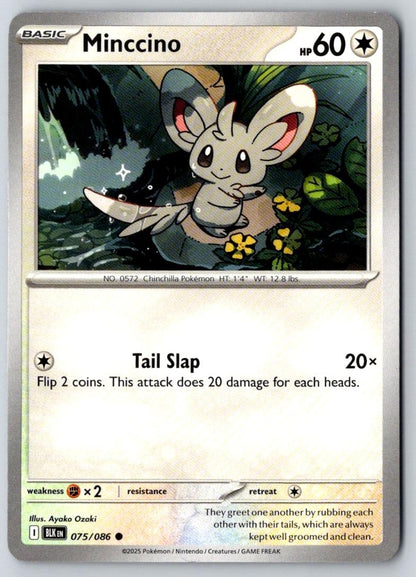 Minccino 075/086 Common Black Bolt Pokemon Near Mint
