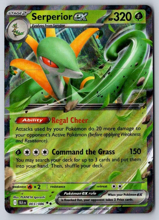 Serperior ex 003/086 Holo Double Rare Black Bolt Pokemon Near Mint