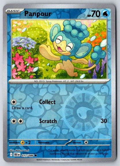 Panpour 017/086 Common Black Bolt Pokemon Near Mint