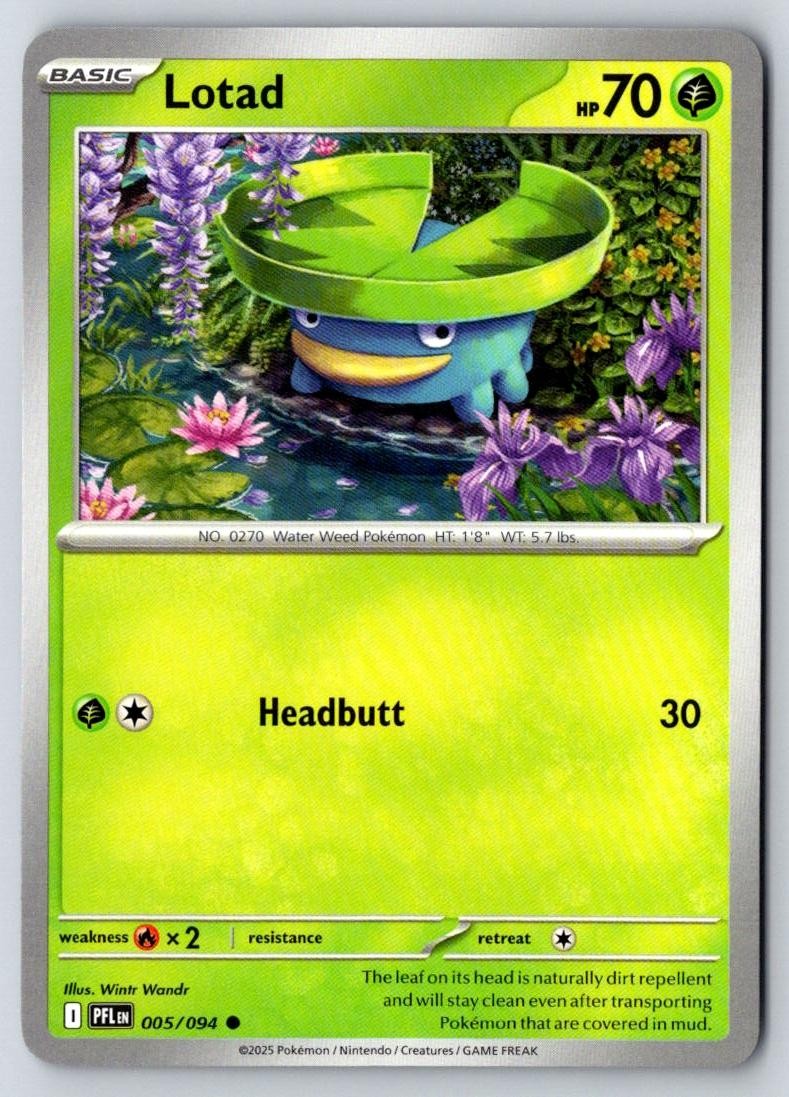 Lotad 005/094 Common Phantasmal Flames Pokemon Near Mint