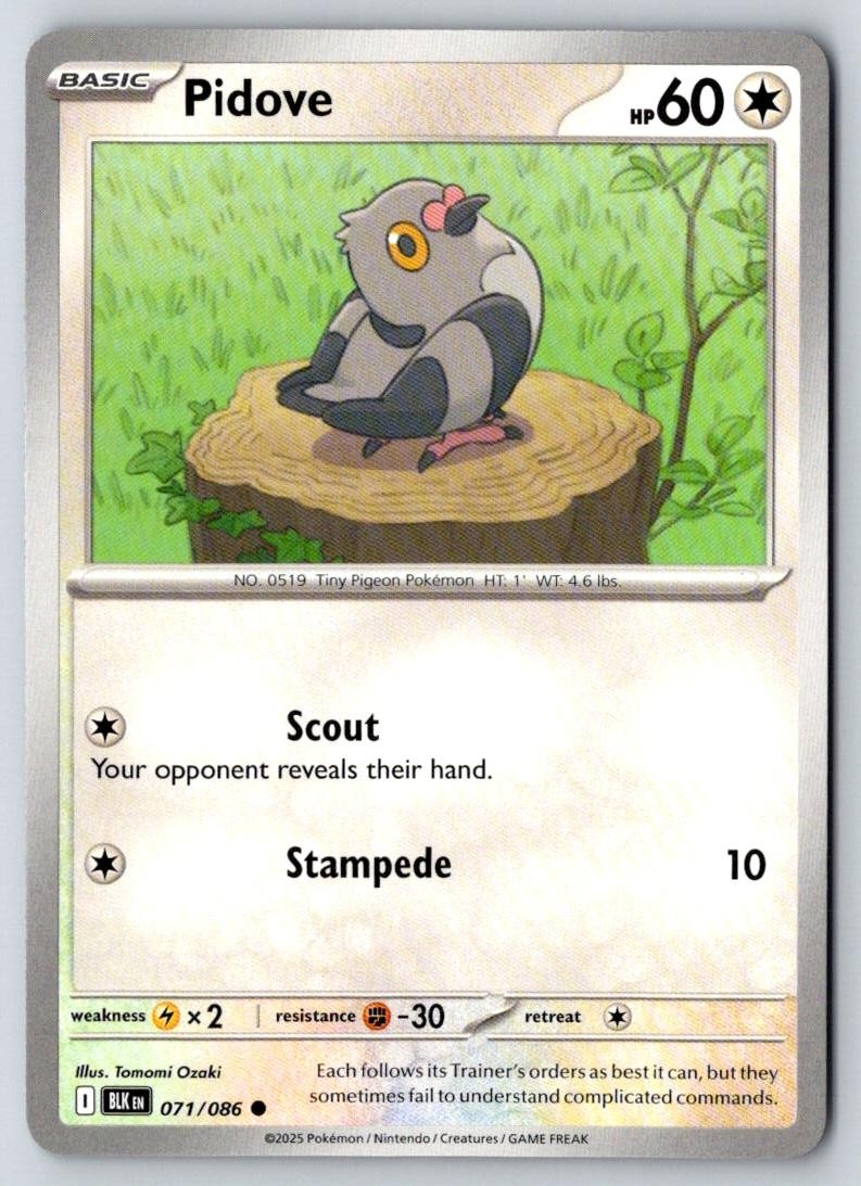 Pidove 071/086 Common Black Bolt Pokemon Near Mint