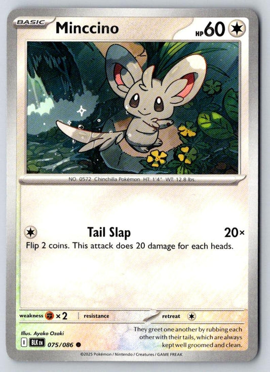 Minccino 075/086 Common Black Bolt Pokemon Near Mint