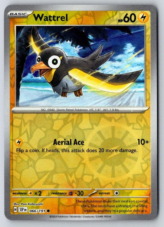 Wattrel 066/191 Common Surging Sparks Pokemon Near Mint