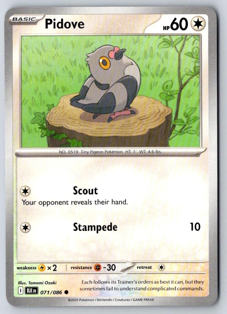Pidove 071/086 Common Black Bolt Pokemon Near Mint