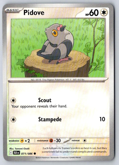 Pidove 071/086 Common Black Bolt Pokemon Near Mint