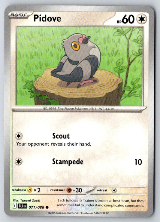 Pidove 071/086 Common Black Bolt Pokemon Near Mint
