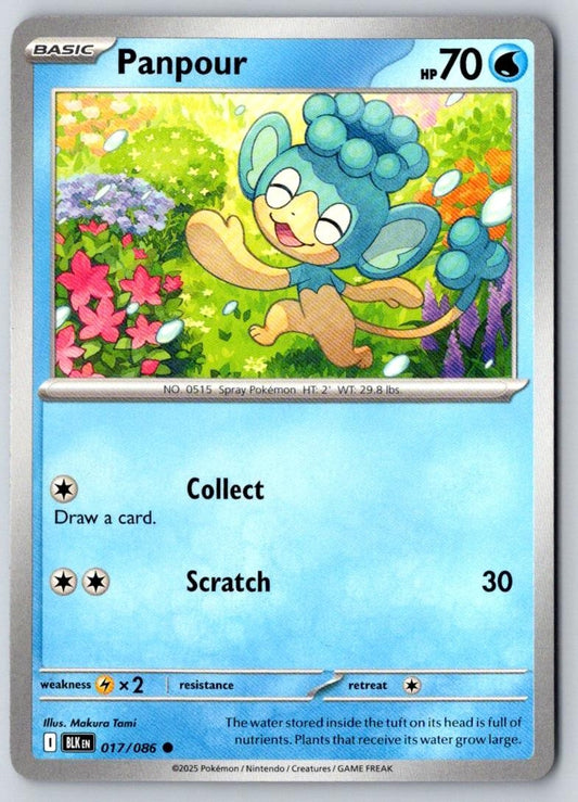 Panpour 017/086 Common Black Bolt Pokemon Near Mint